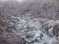 rra delle Concazze-20100425 021